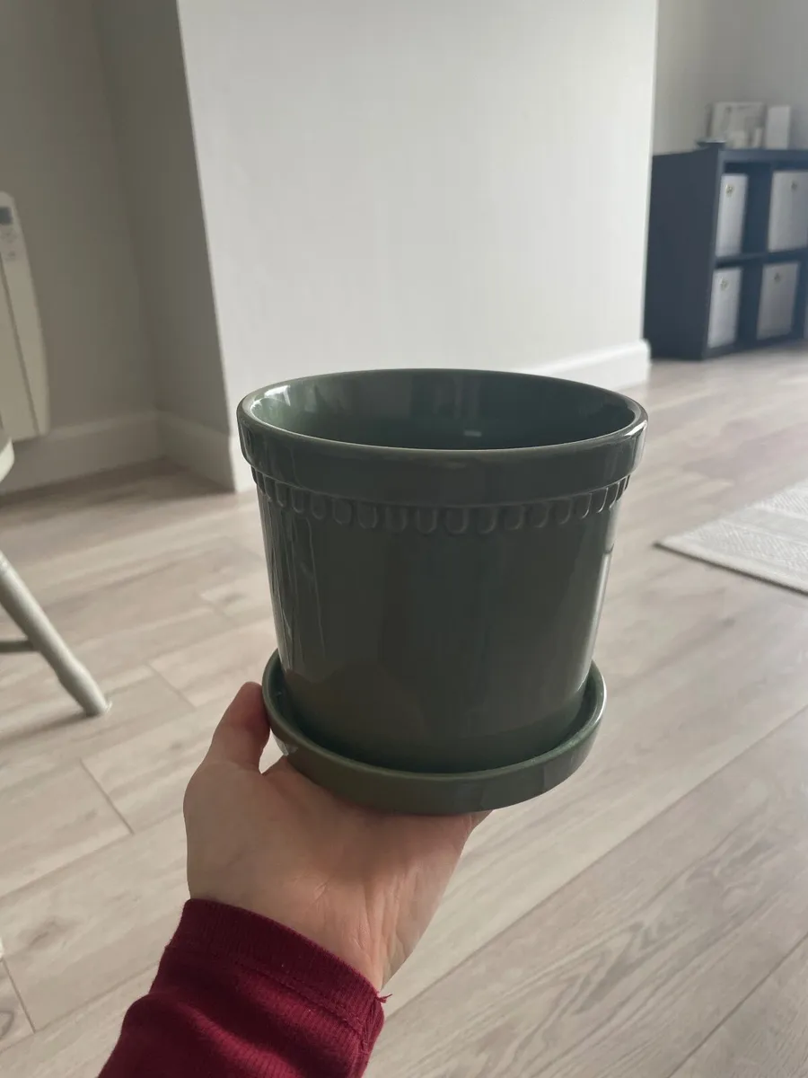 Pot and glass weekly organizer - Image 2