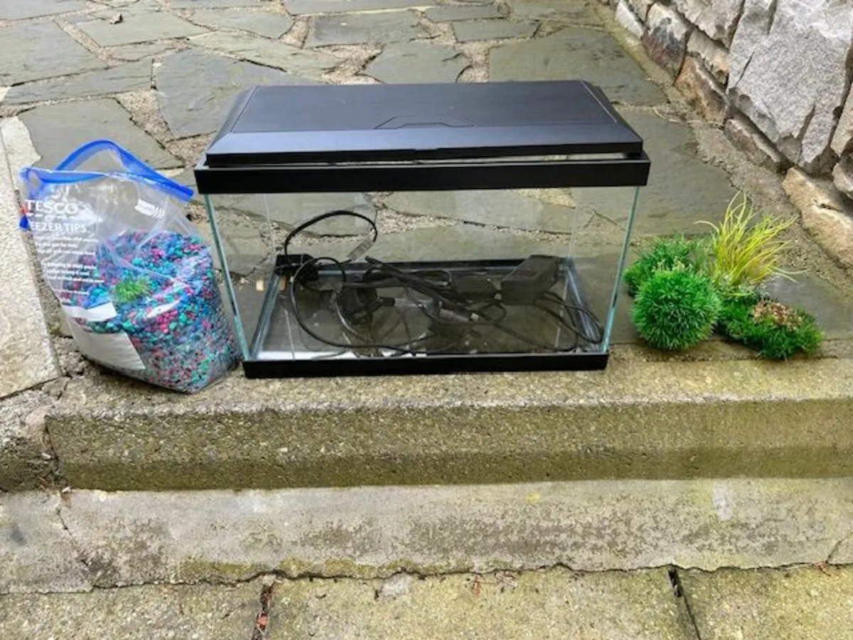19 ltr fish tank and accessories for sale - Image 2