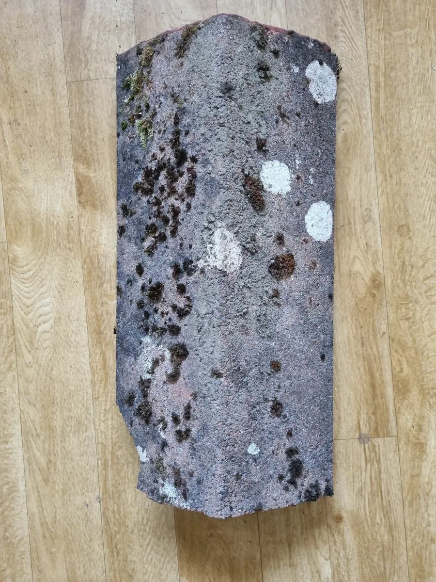Ridge Tiles - Image 1