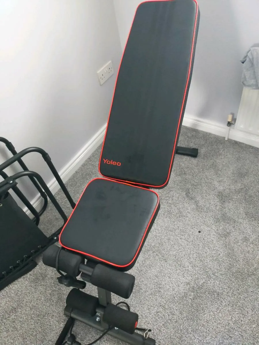 Gym weights - Image 1