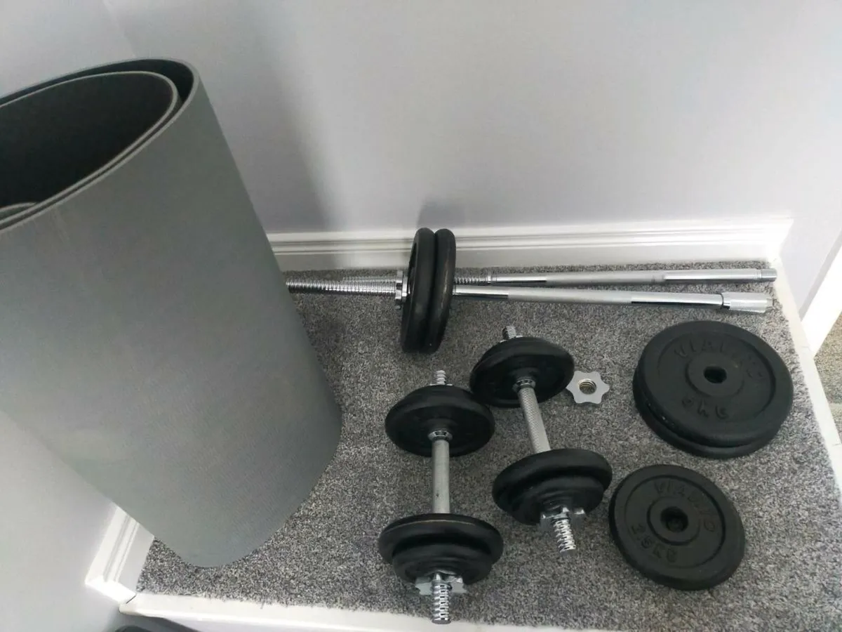 Gym weights - Image 2