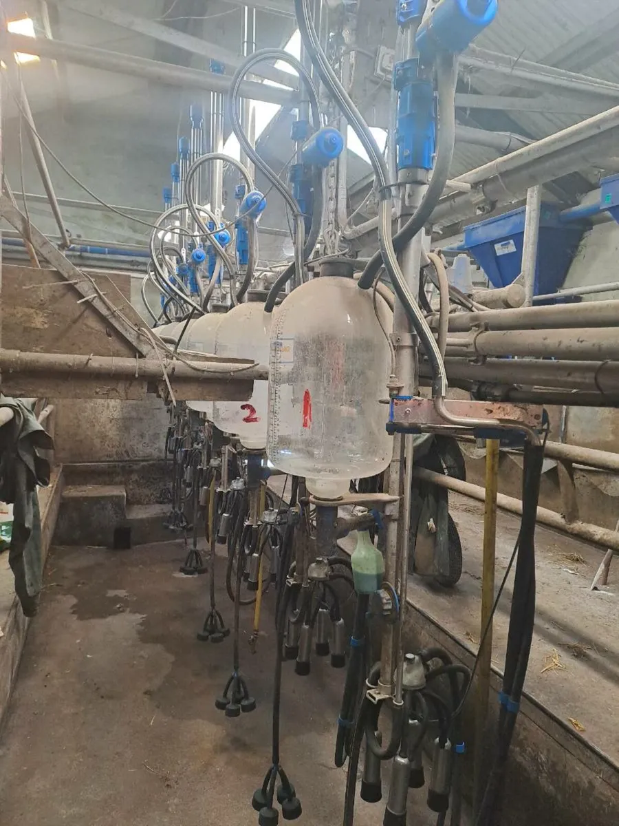 8 Unit Dairymaster - Image 1