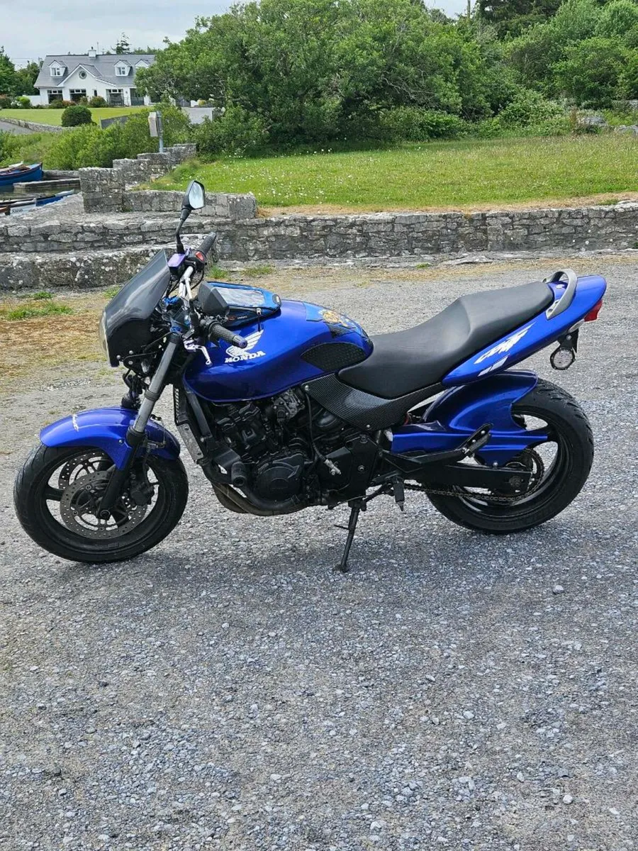 Honda Hornet - Image 2