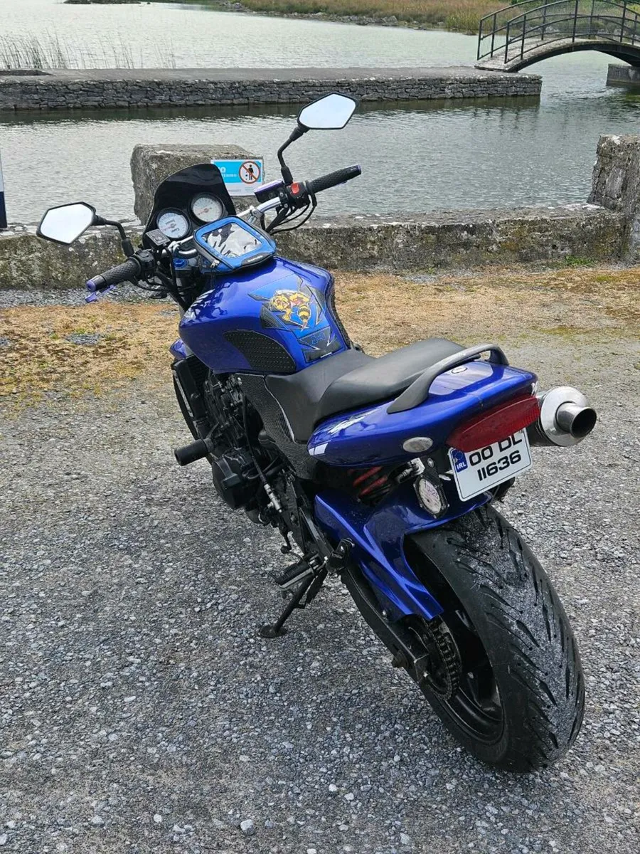 Honda Hornet - Image 4