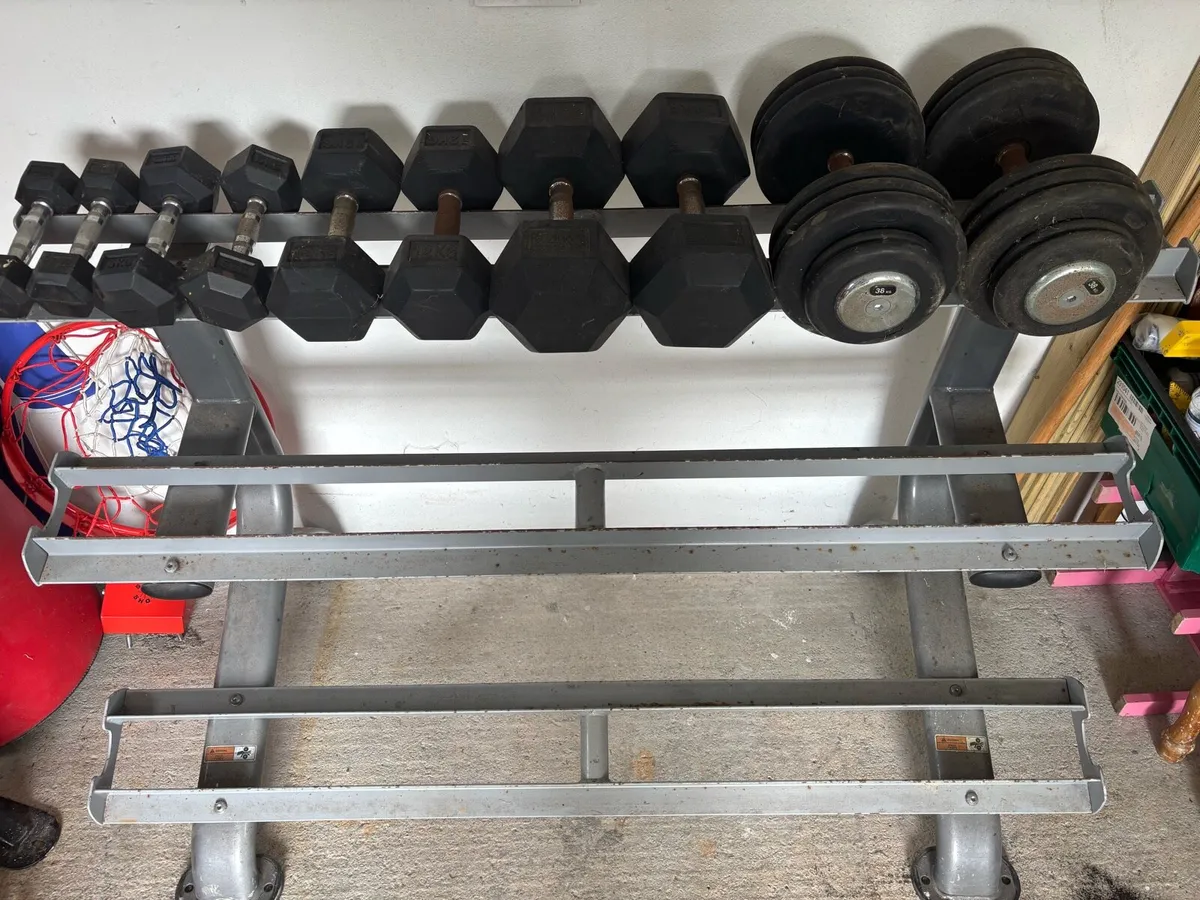 Hex Dumbbells and rack - Image 1