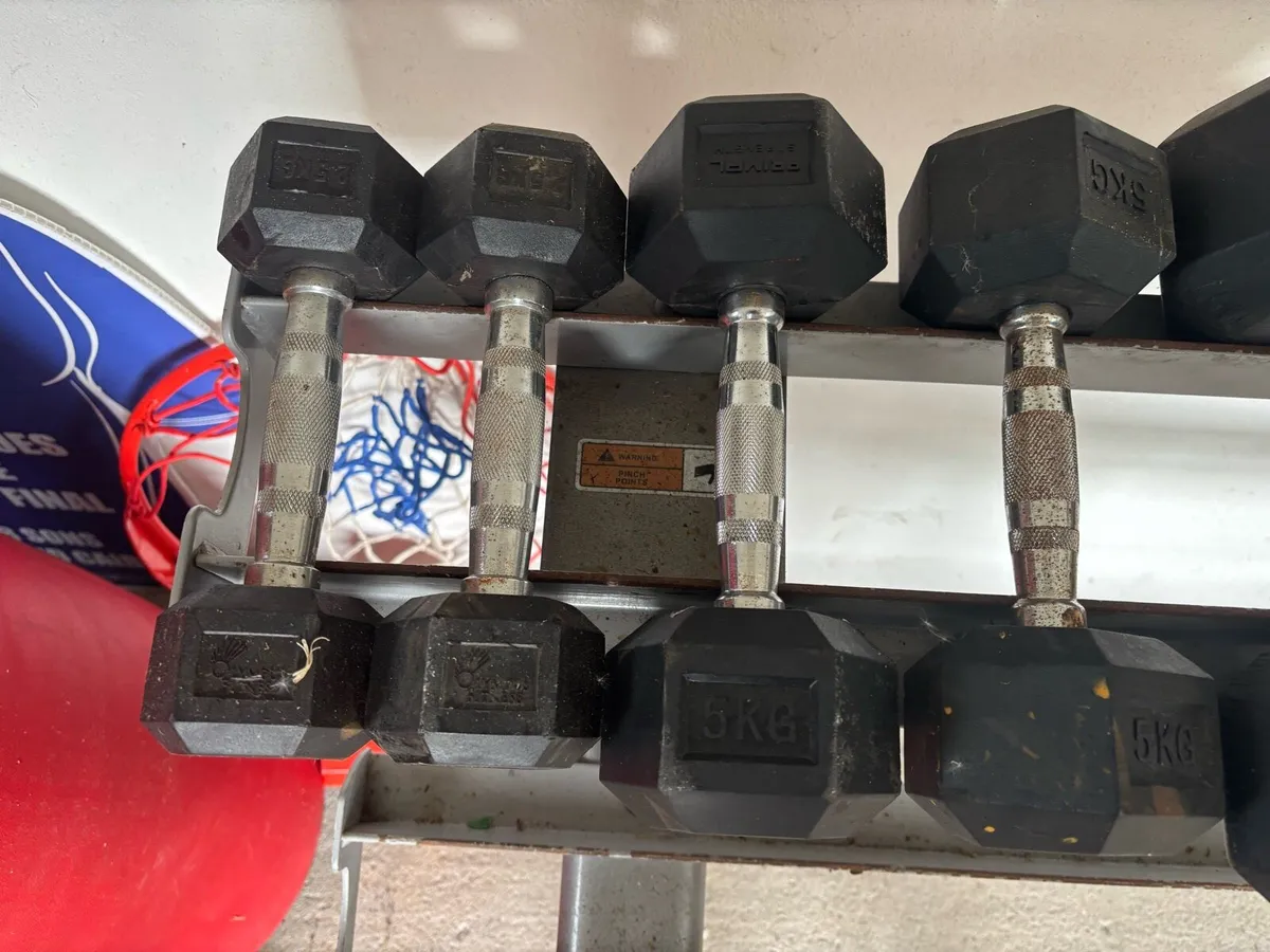 Hex Dumbbells and rack - Image 2