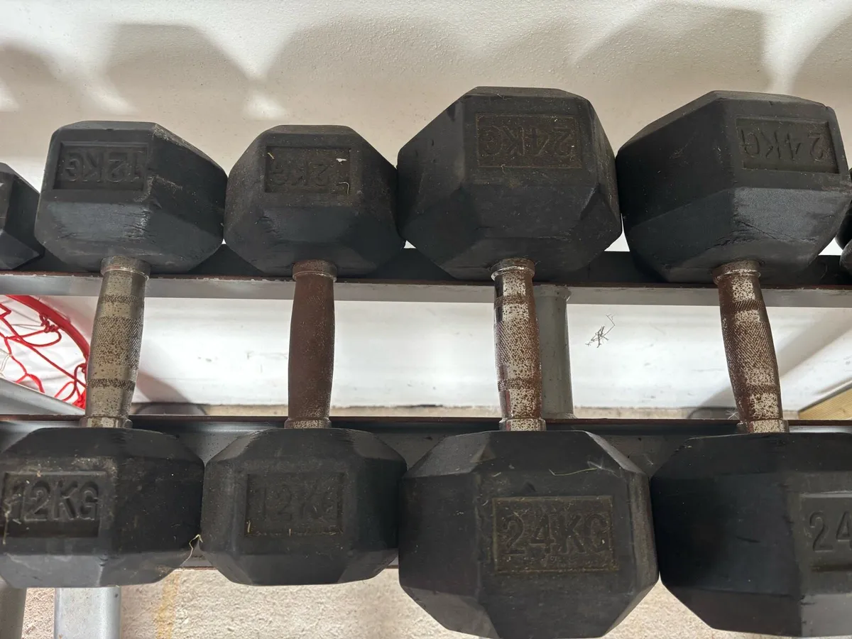 Hex Dumbbells and rack - Image 3