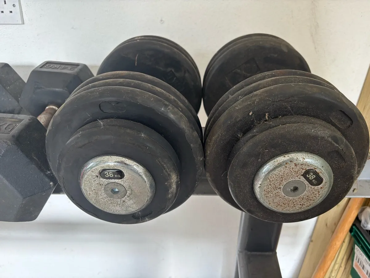 Hex Dumbbells and rack - Image 4