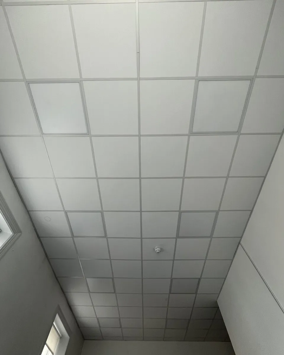 Suspended ceiling - Image 1