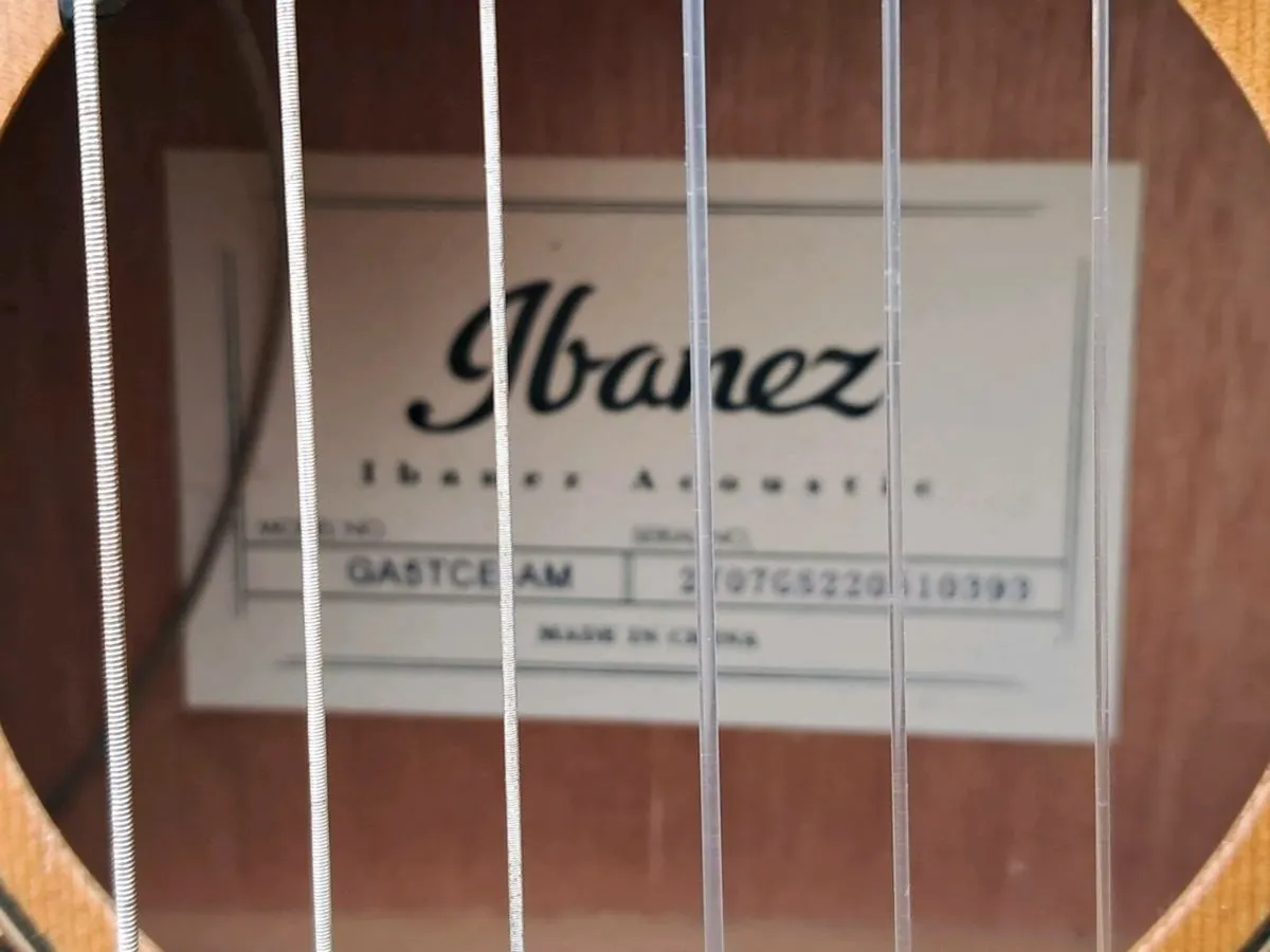 Ibanez nylon guitar - Image 2