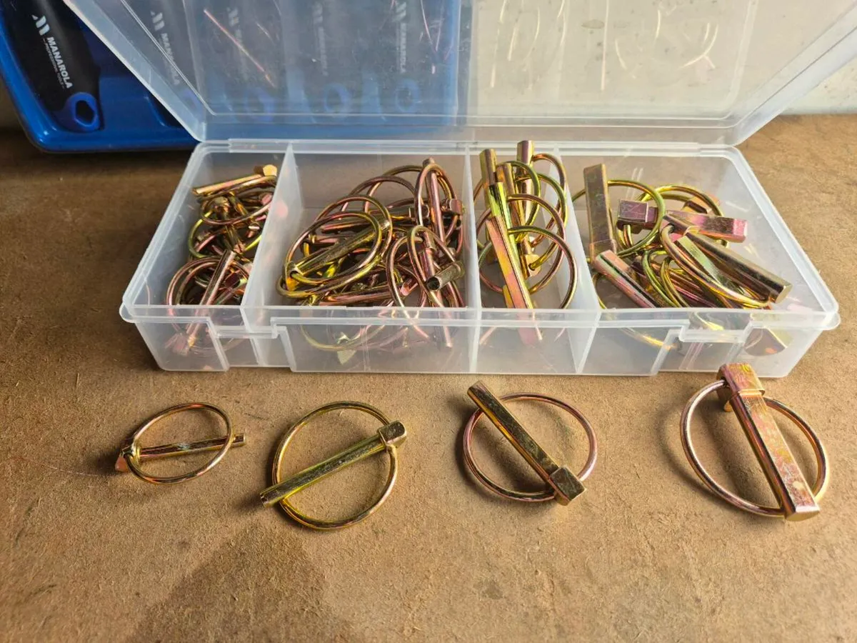 Job lot - Image 4