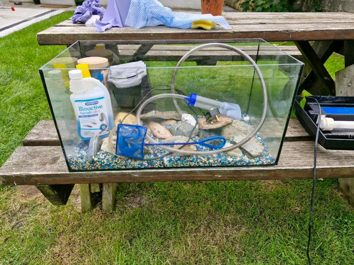 Fish Tank - Image 2