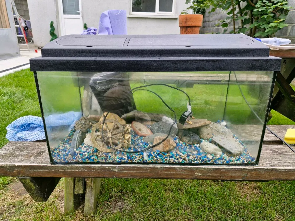 Fish Tank - Image 1