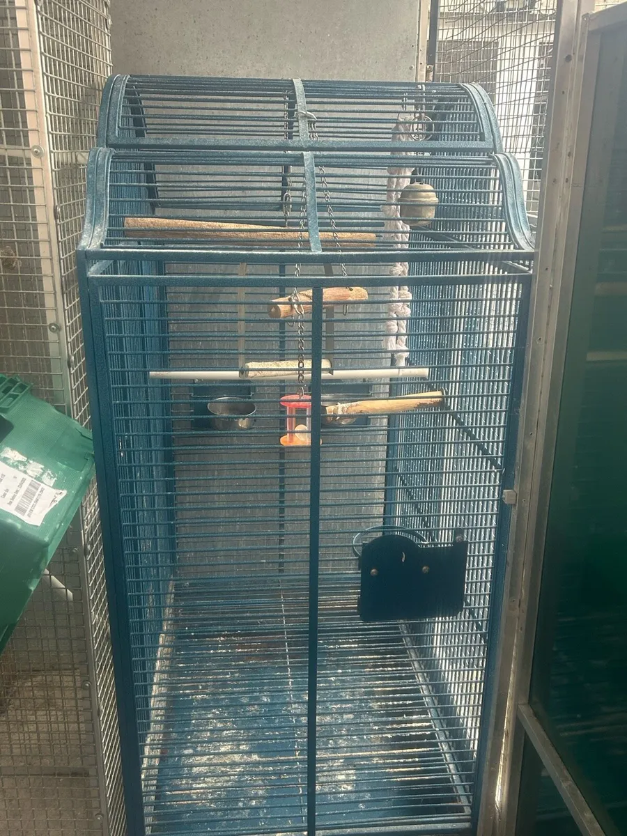 Xxl Parrot cage  and Small cage - Image 1