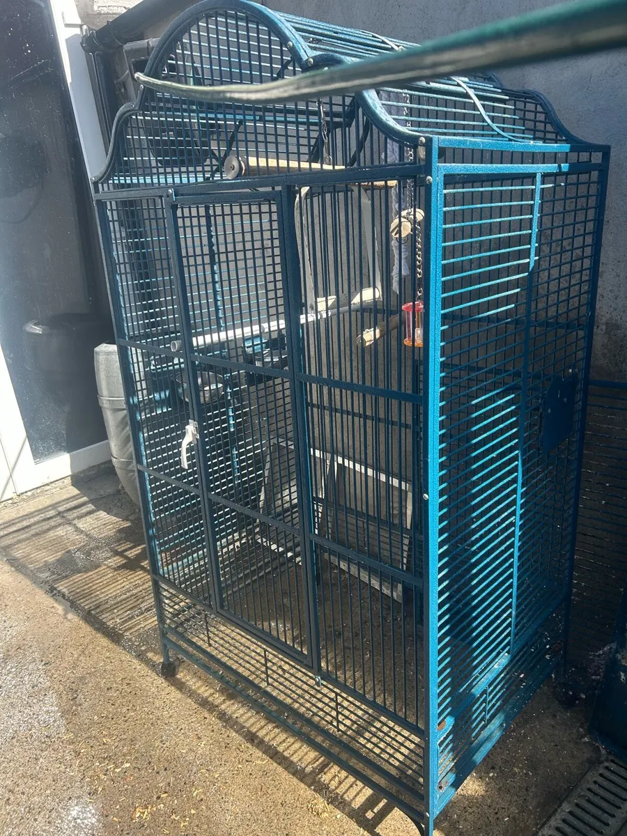 Xxl Parrot cage  and Small cage - Image 2