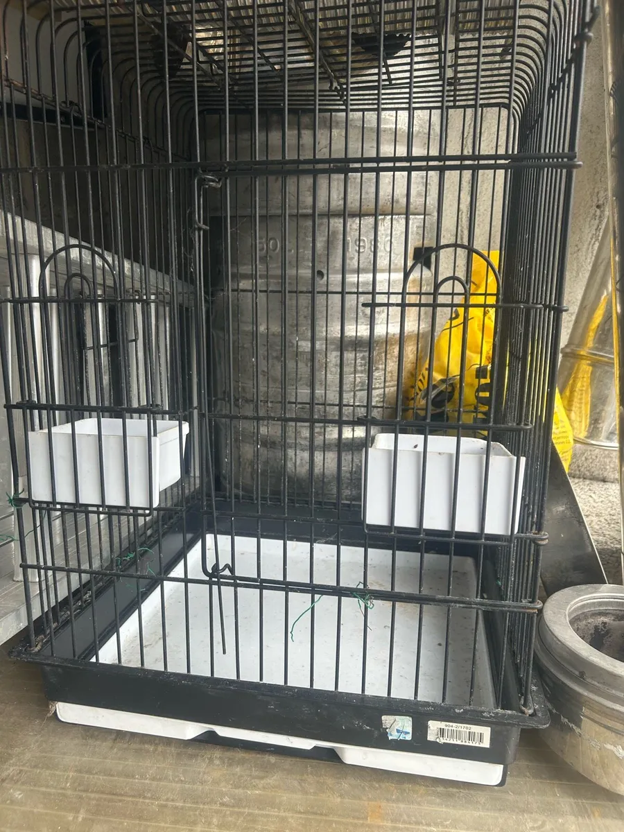 Xxl Parrot cage  and Small cage - Image 3