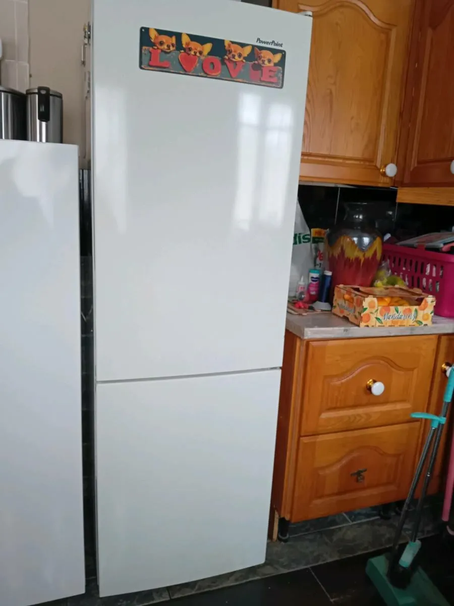 Fridge freezer - Image 1