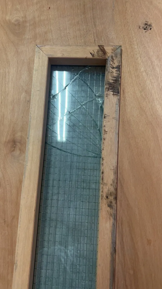 Doors - Image 4