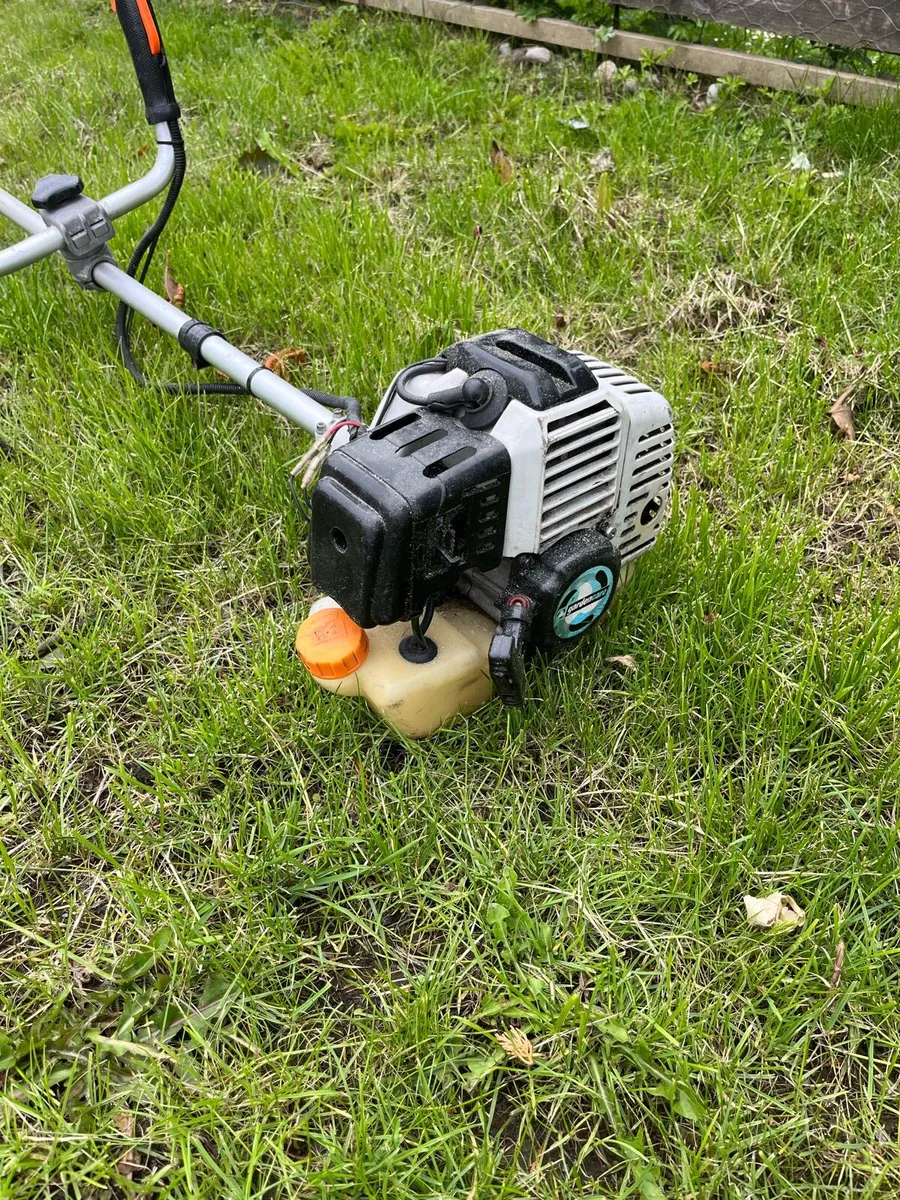 Strimmer - Image 1