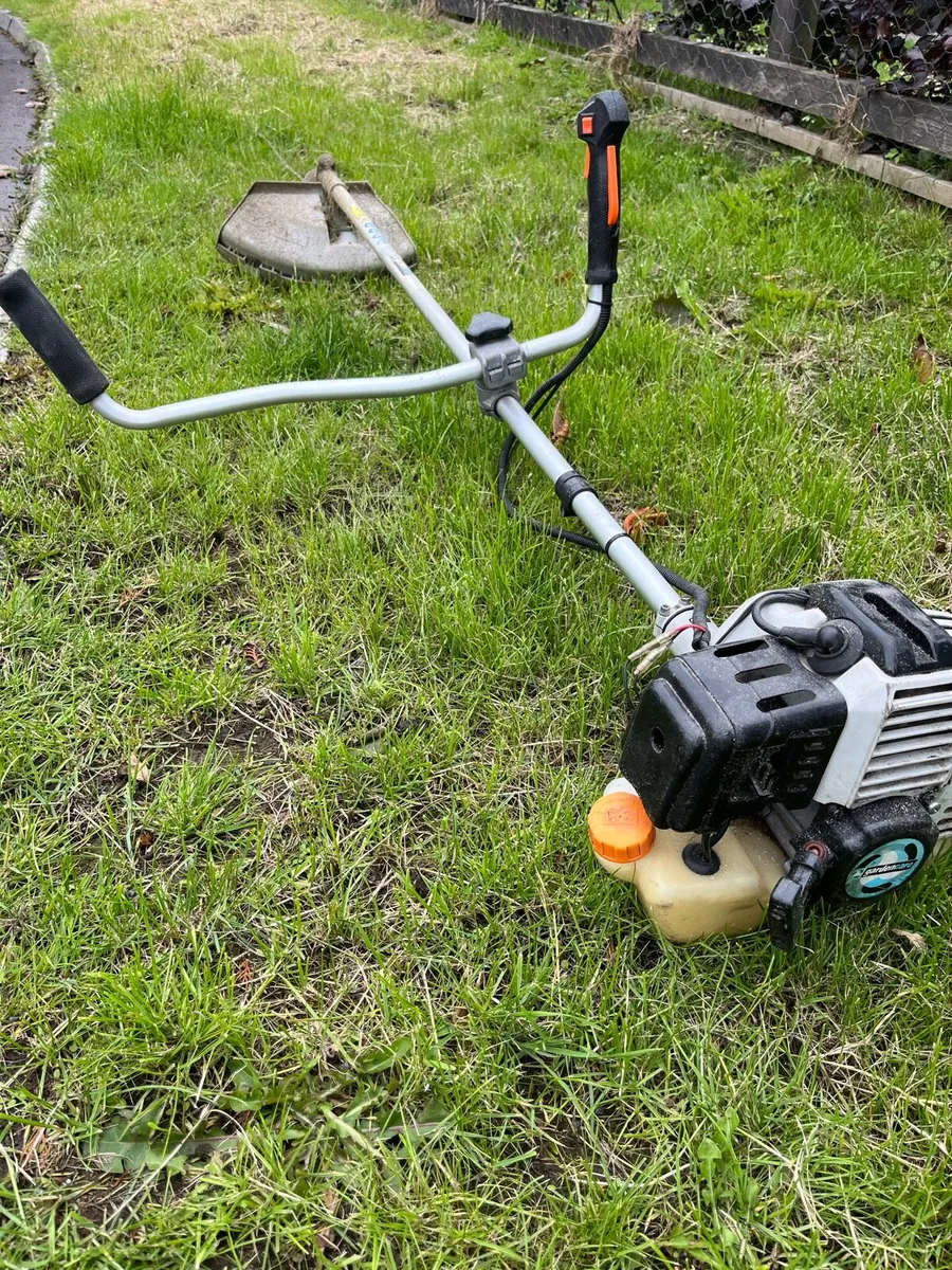 Strimmer - Image 2