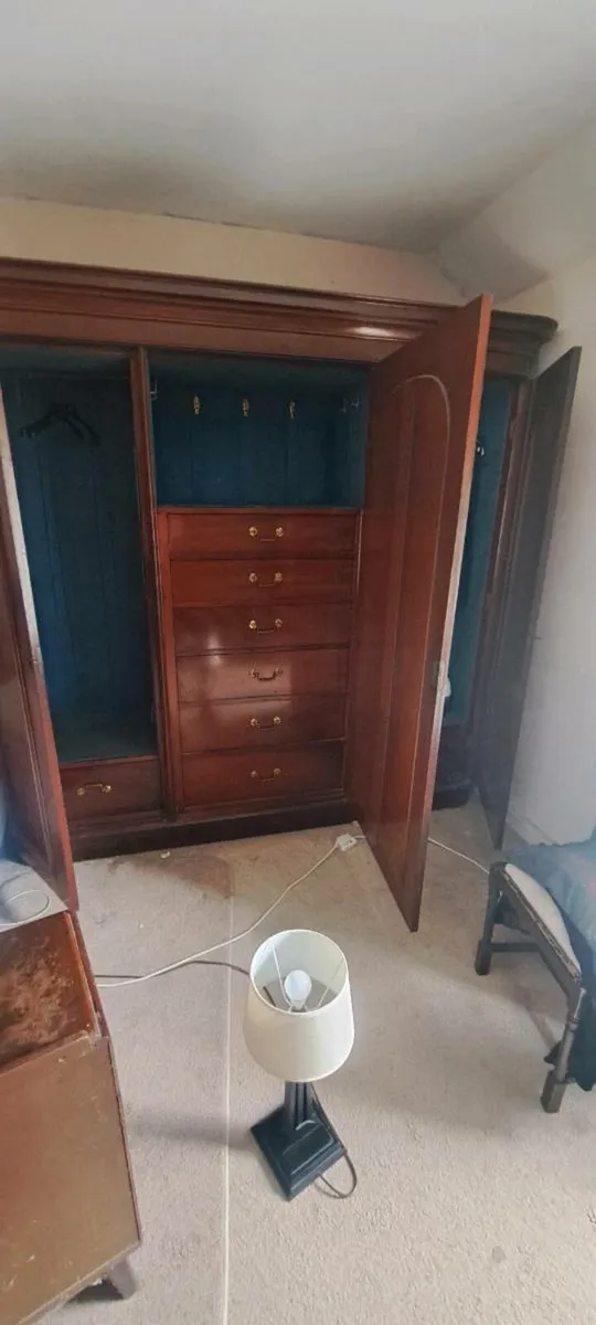 Antique Mahogany wardrobes - Image 2