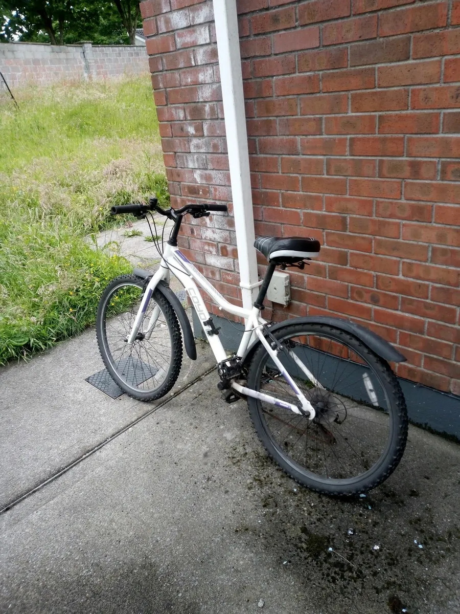 Mountainbike - Image 1
