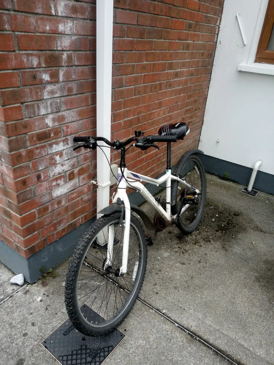 Mountainbike - Image 4