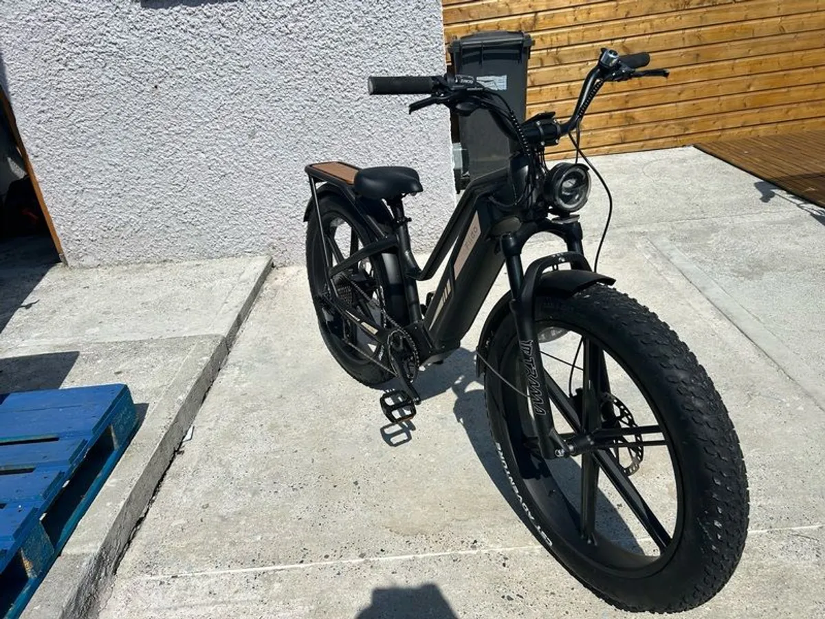 Electric Bike - Image 2
