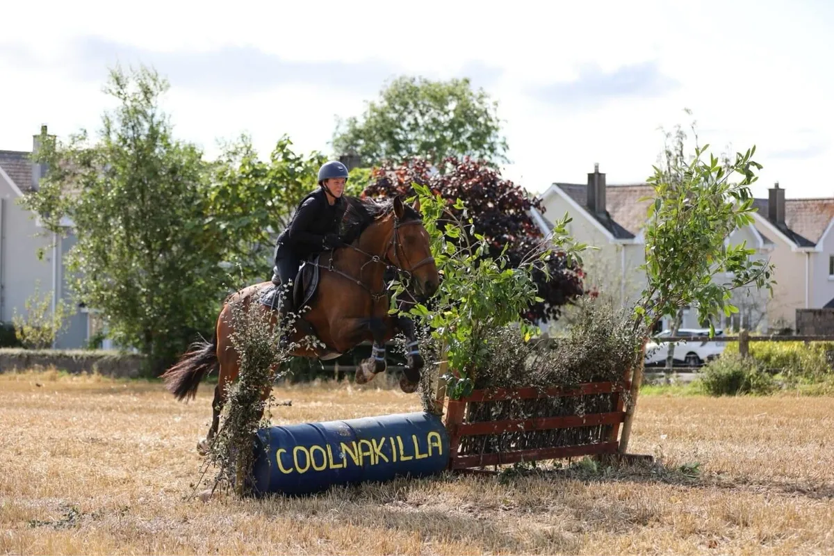🐎Stunning 10yo All-Rounder ISH Mare 🐎 - Image 1