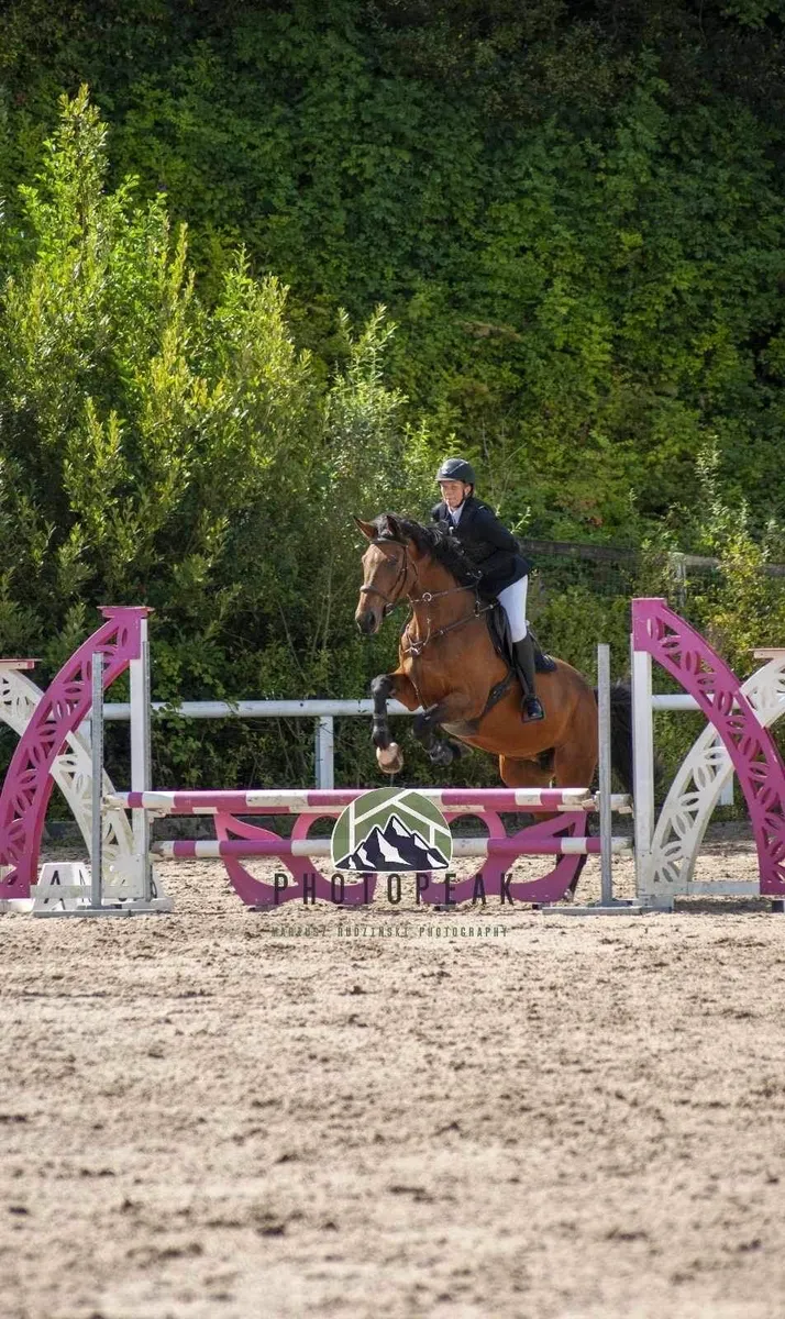 🐎Stunning 10yo All-Rounder ISH Mare 🐎 - Image 3