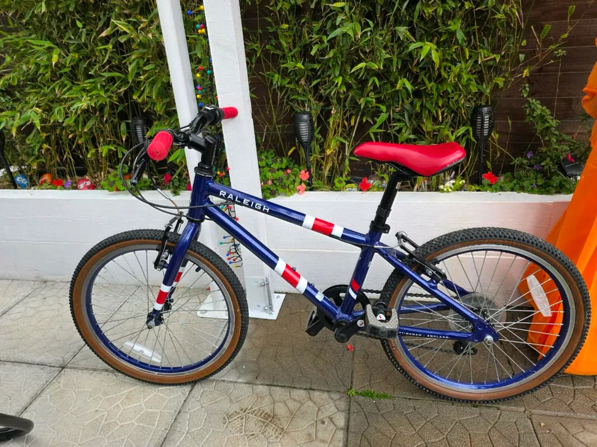 Raleigh 20 Kids Bike Age 6-9 years - Image 1