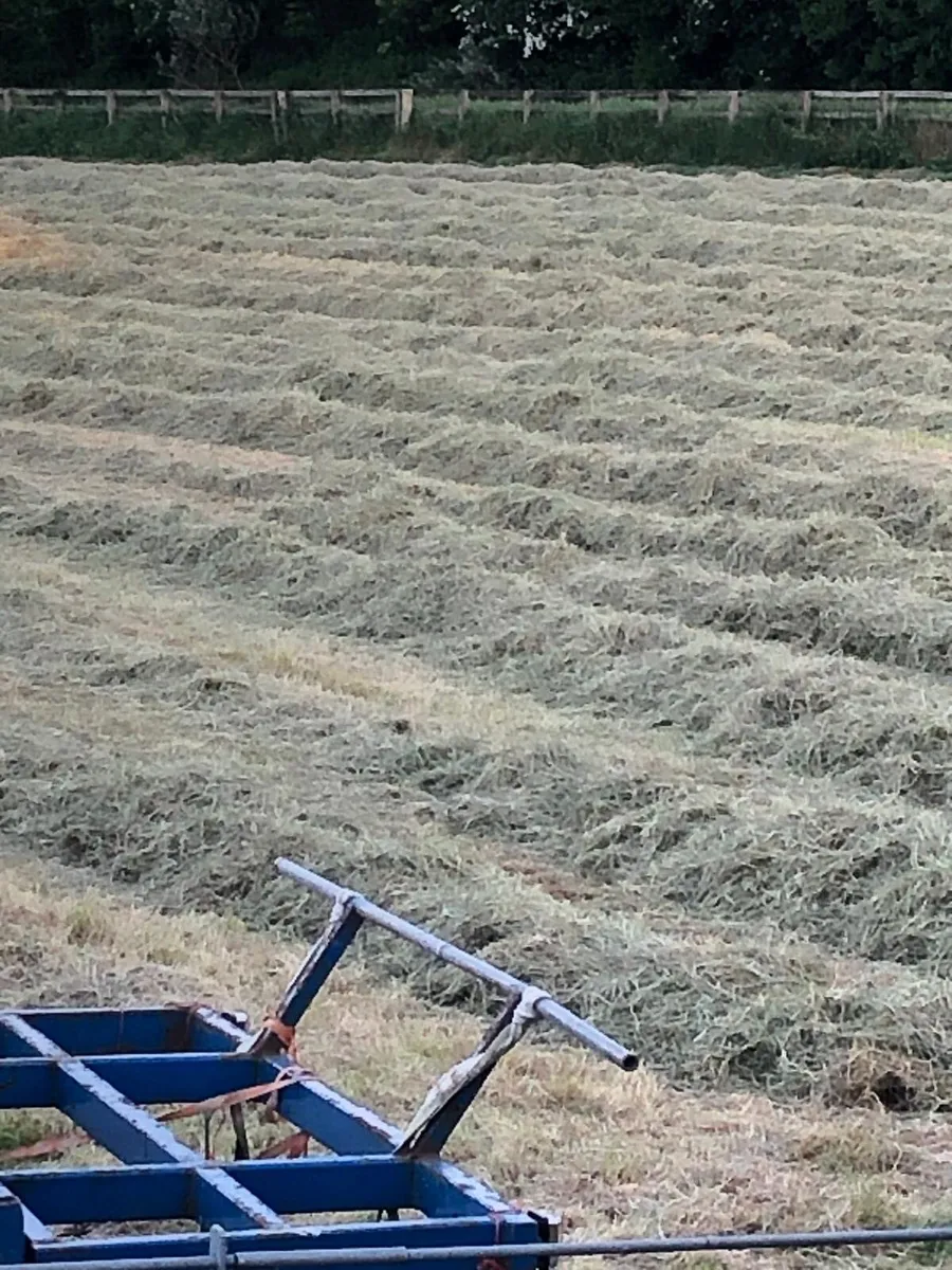 Haylage - Image 1