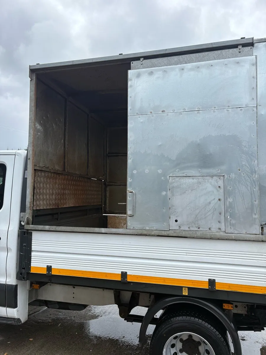Ford Transit Tree Surgery Tipper - Image 3