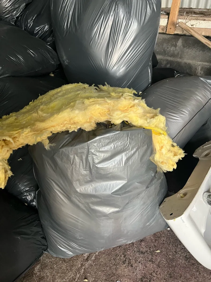 Attic Insulation - Image 1