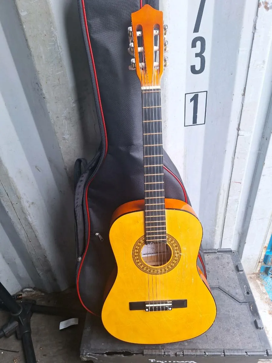 Herald L34 guitar with canvas case - Image 1