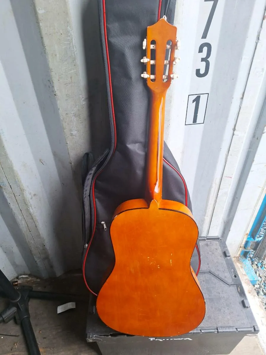 Herald L34 guitar with canvas case - Image 3