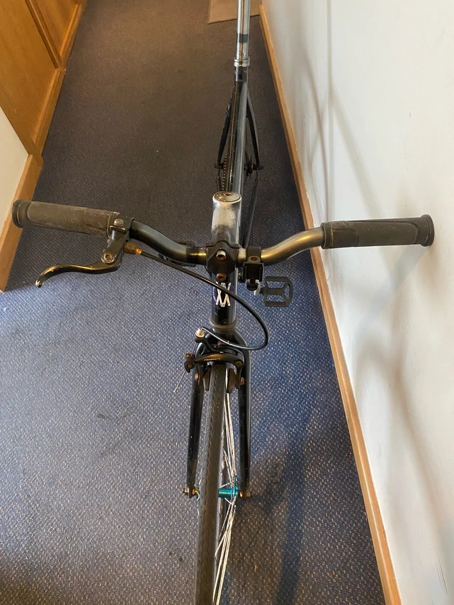 Singlespeed - Image 4
