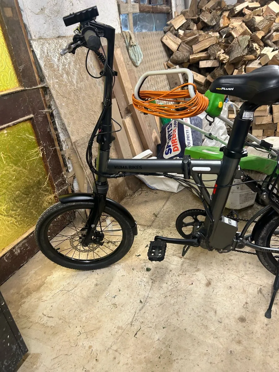 Electric Bike - Image 2