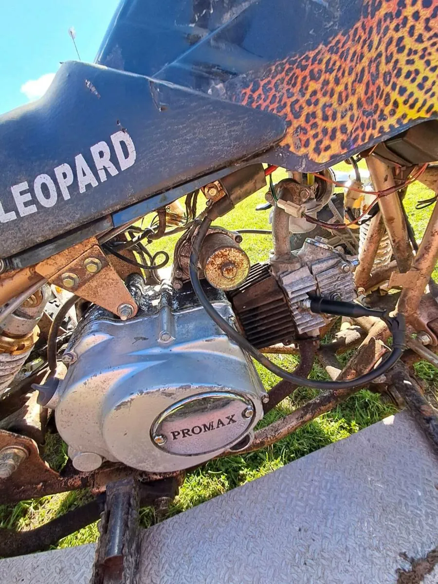 Kids Leopard Quad - Image 2