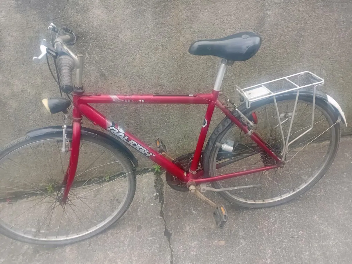 Adult bike - Image 1