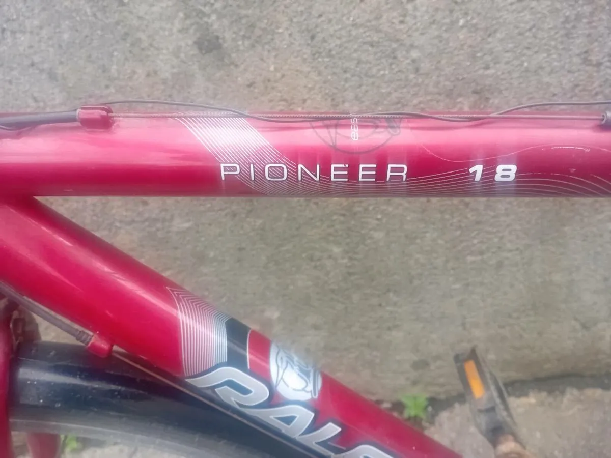Adult bike - Image 2