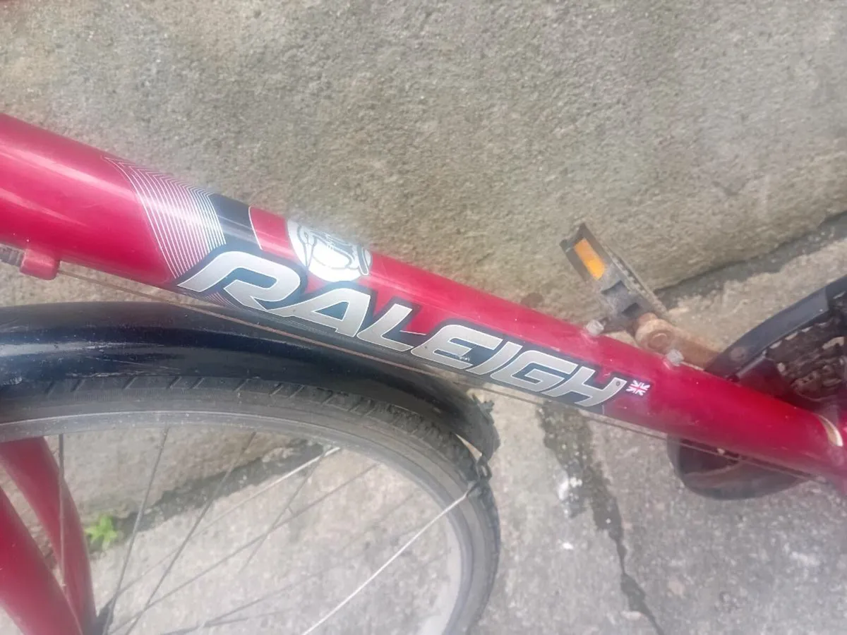 Adult bike - Image 3