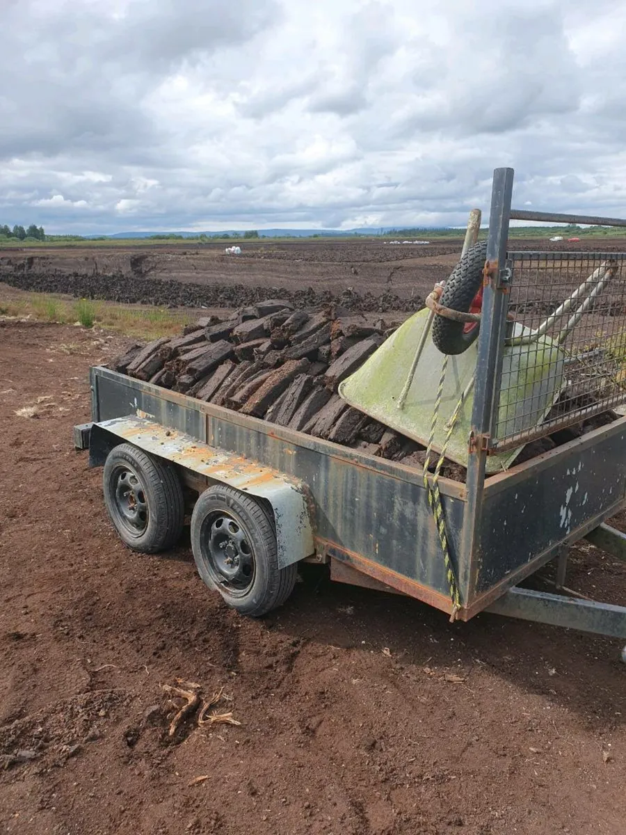 Trailer and log splitter - Image 1