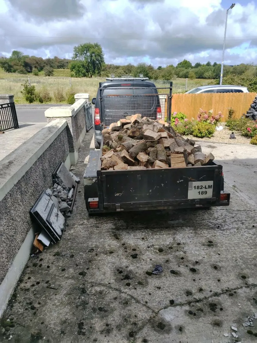 Trailer and log splitter - Image 2