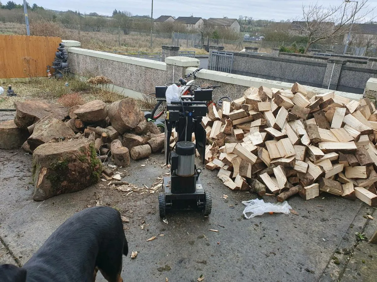 Trailer and log splitter - Image 4