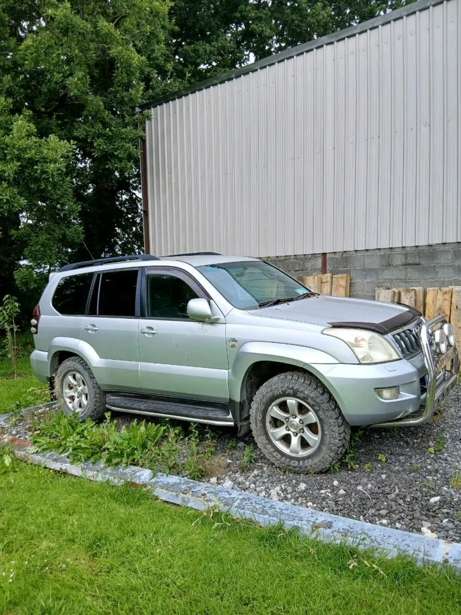 Shed clear out - Image 1