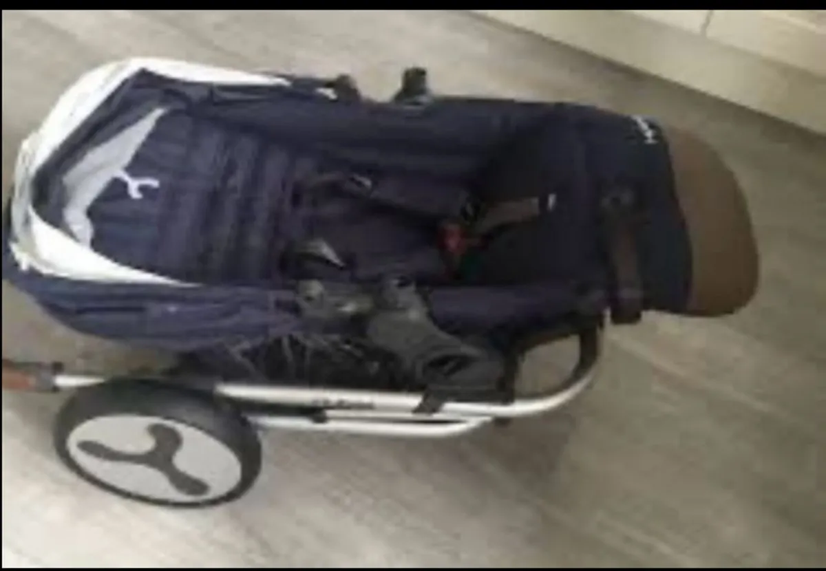 Buggy - Image 2