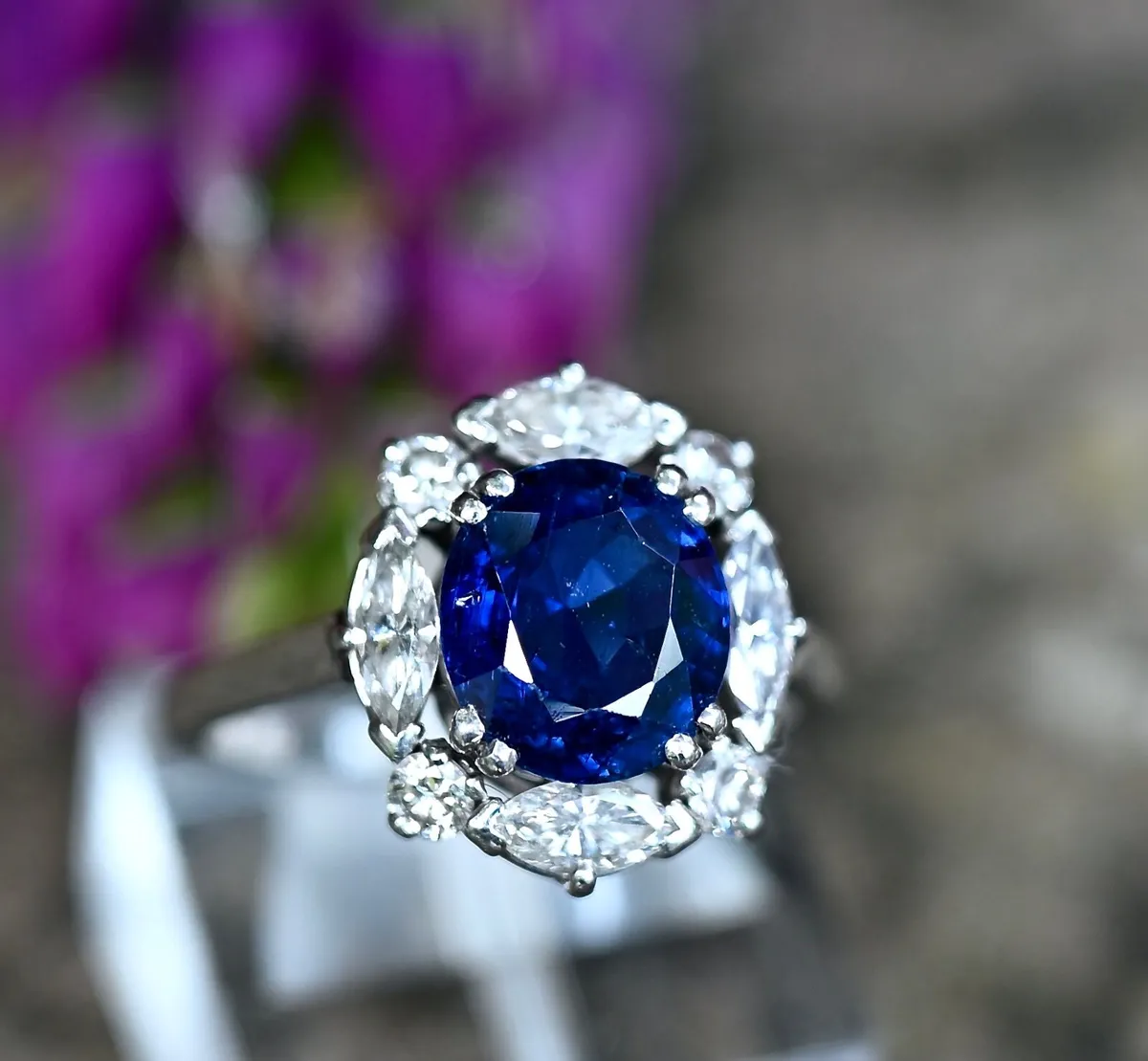 Vintage Mellerio Sapphire & Diamond Ring  Platinum - Image 4