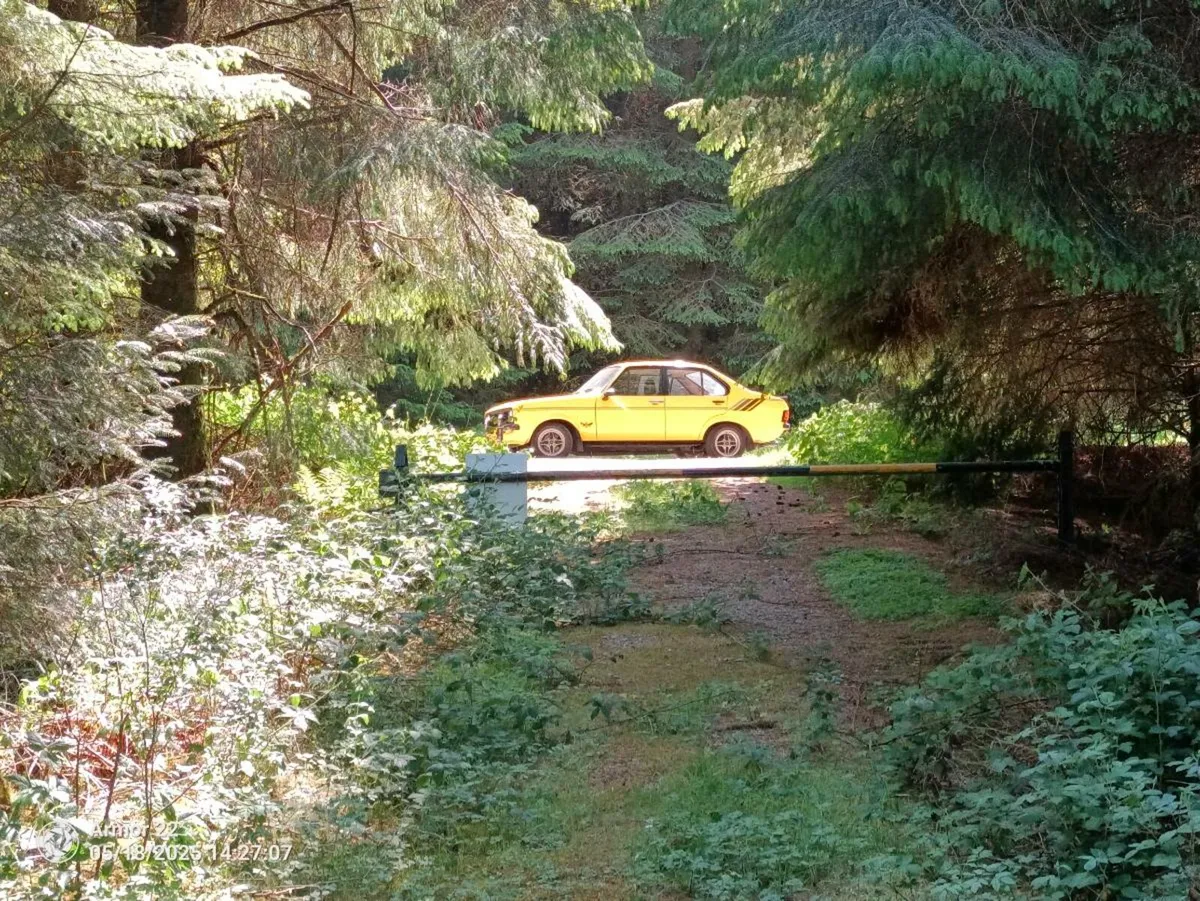 MK2 Escort - Image 1