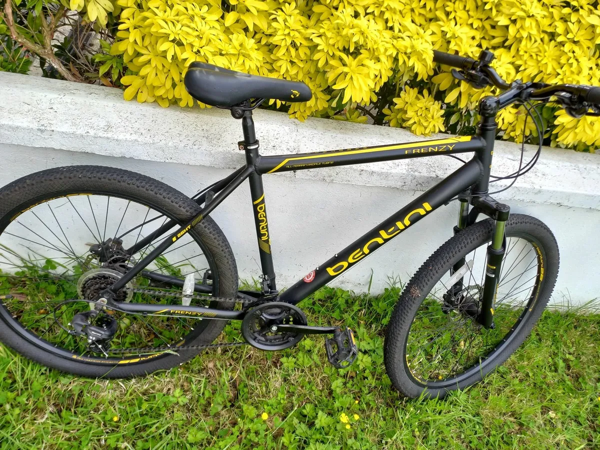 Mountain bike - Image 1